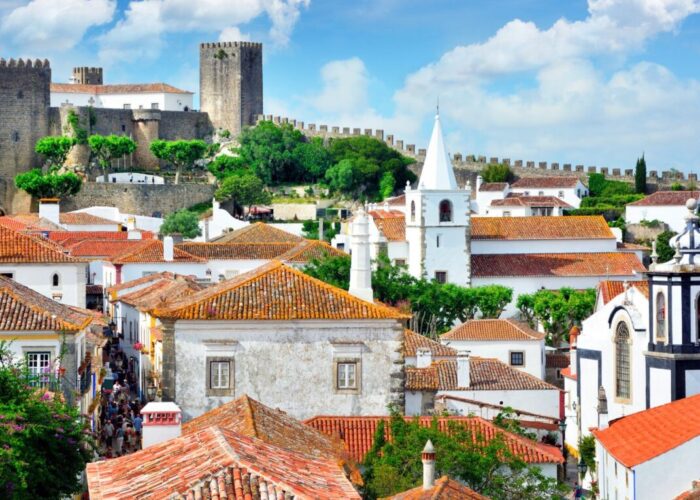 Portugal D3 Visa | How to Apply? 2022