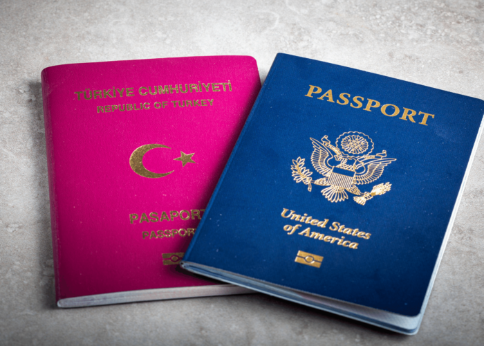 What is Dual Citizenship and How to Get It?