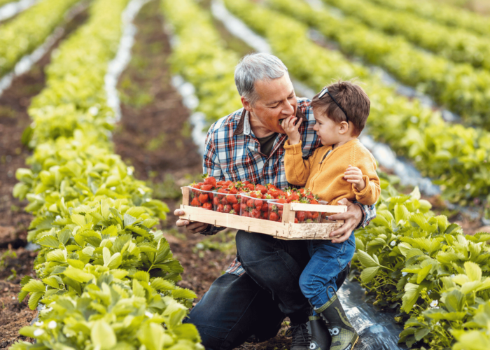 Sustainable and Organic Farming in Türkiye