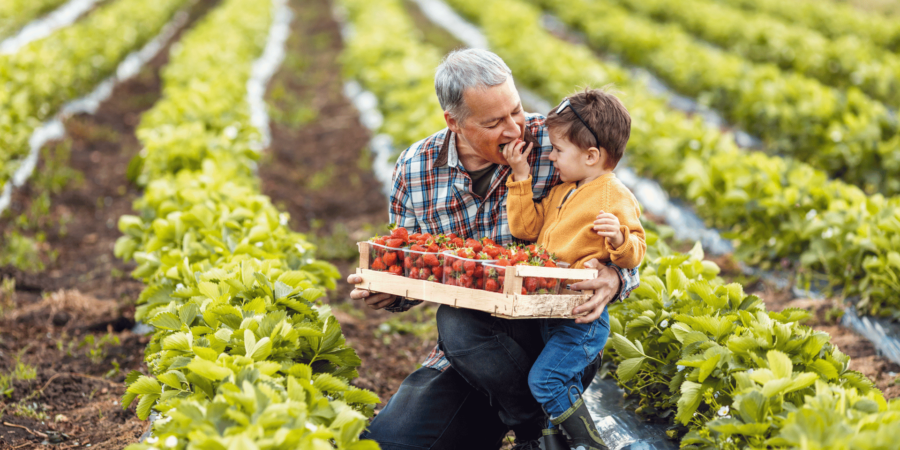 Sustainable and Organic Farming in Türkiye - Smartcitizenship