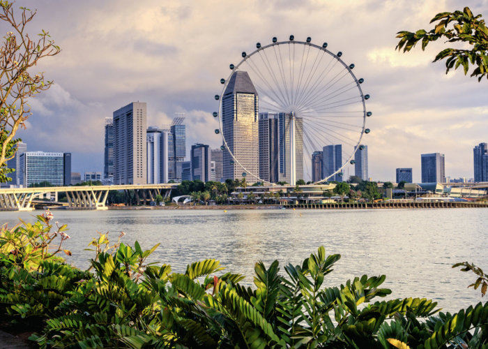 Singapore Residency Route for Entrepreneurs: The Employment Pass Visa