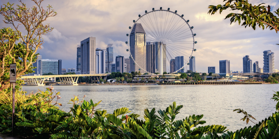Singapore Residency Route for Entrepreneurs: The Employment Pass Visa